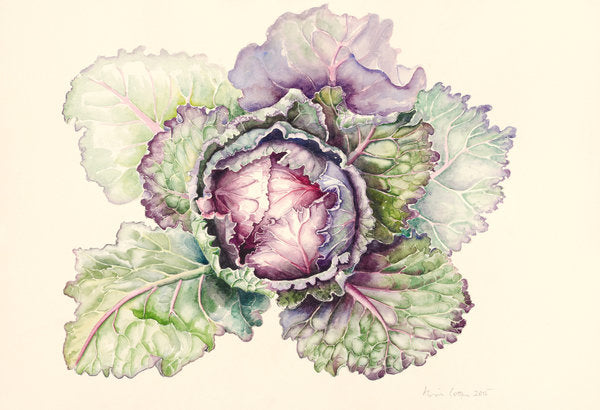 Detail of Cabbage from the market, 2015 by Alison Cooper