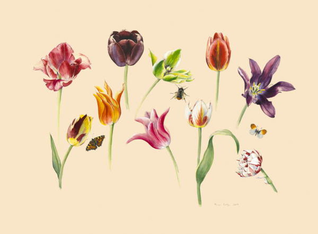 Detail of spring tulips and insects, 2018 by Alison Cooper