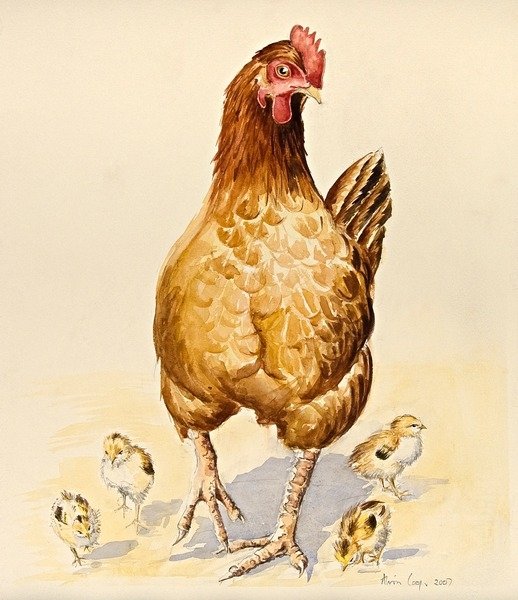 Detail of George's Hen and her Chicks, 2007 by Alison Cooper