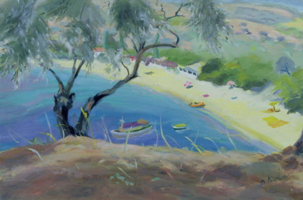 Detail of Achladies Bay, Skiathos, Greece, 1985 by Anne Durham