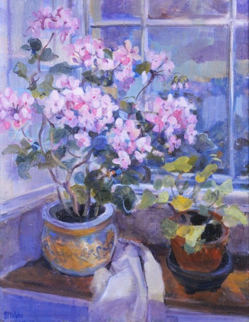 Detail of Pink geranium on window seat, 1996 by Sue Wales