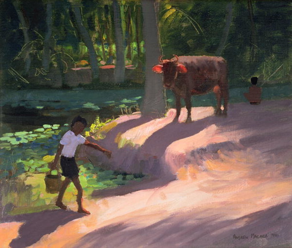 Detail of Kerala Backwaters, India, 1996 by Andrew Macara