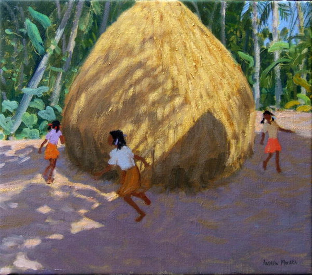 Detail of Haystack, Kerala by Andrew Macara