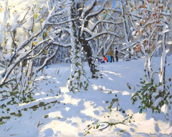 Detail of Christmas sledging in Allestree Woods, 2013 by Andrew Macara