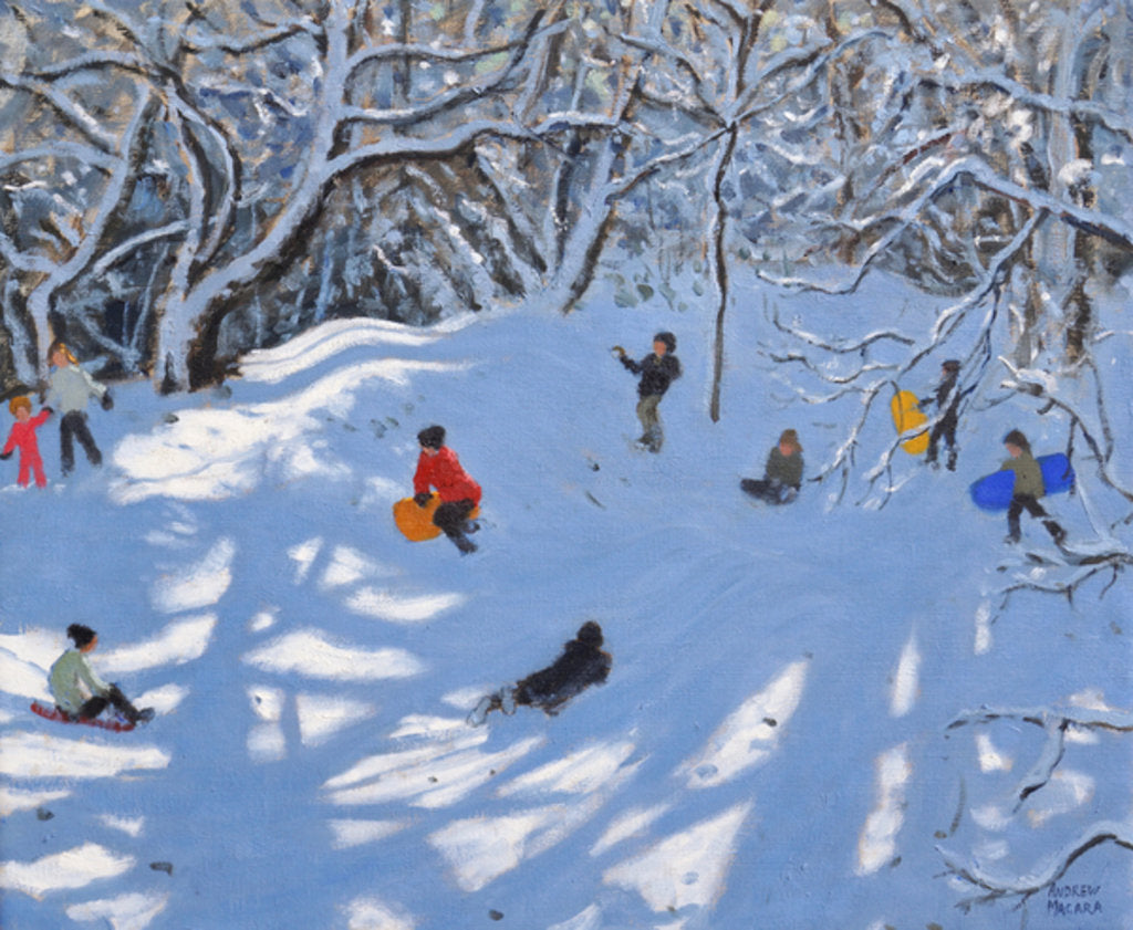 Detail of Christmas, Allestree Woods, Derby, 2017 by Andrew Macara