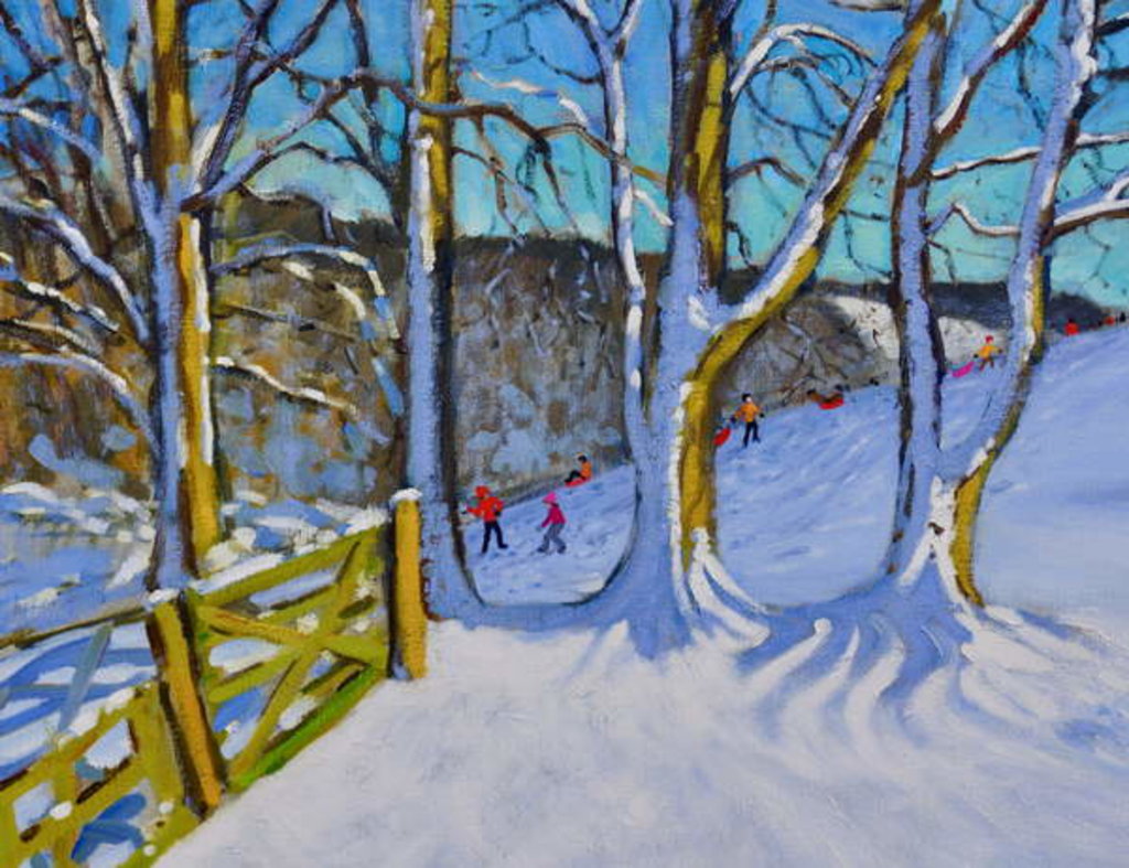 Detail of Sledging, Dam Lane, Derbyshire, 2017 by Andrew Macara