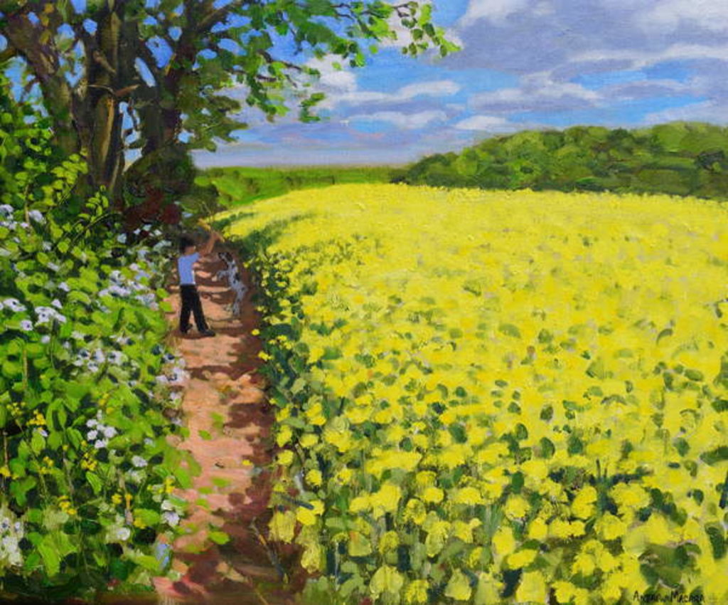 Detail of Boy and his dog, Radbourne, Derby, 2014 by Andrew Macara