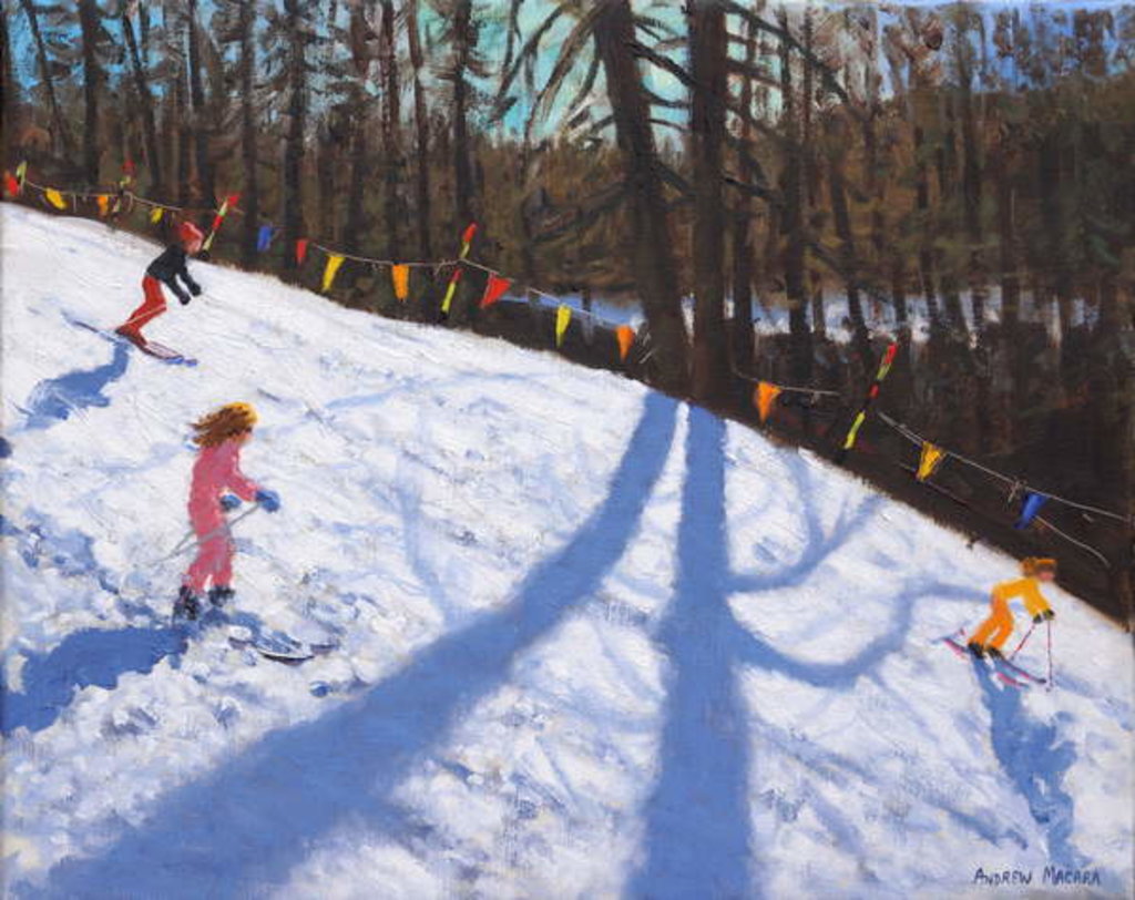 Detail of Three Valleys skiing, Meribel, France 2018 by Andrew Macara