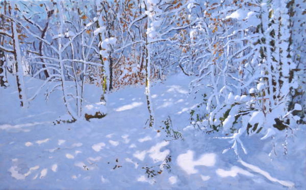 Detail of November Snow, Allestree Woods, Derby, 2019 by Andrew Macara