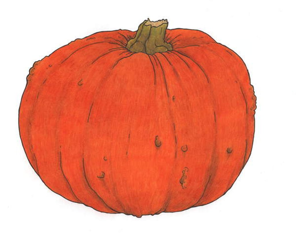 Detail of Pumpkin study, 2013 by Faisal Khouja