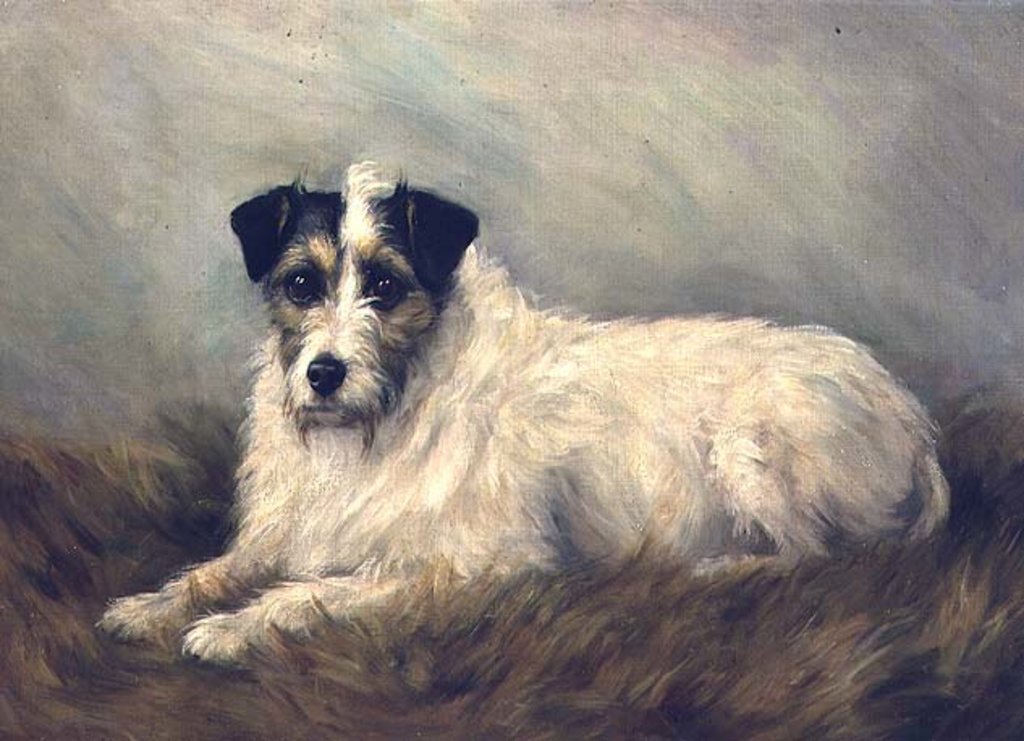 Detail of Terrier by Mabel Hastings