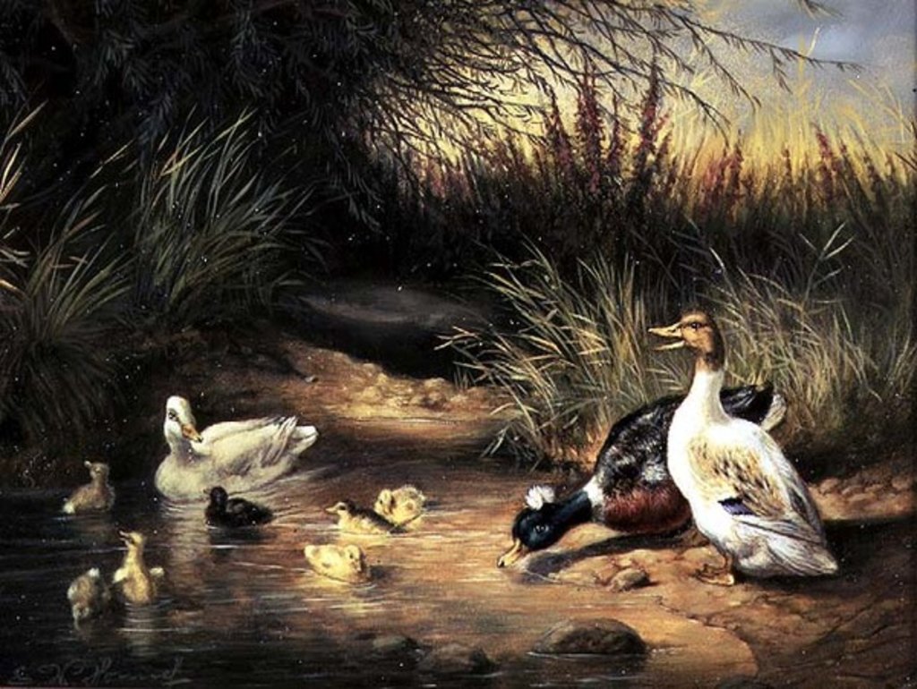 Detail of Ducks, Drake and Ducklings by Ewald Honnef