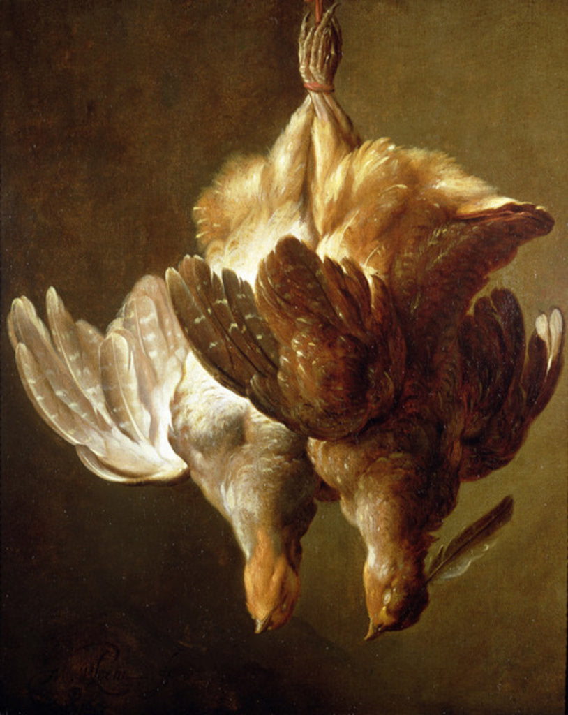 Detail of Still Life of Two Partridges by Matthew Bloem