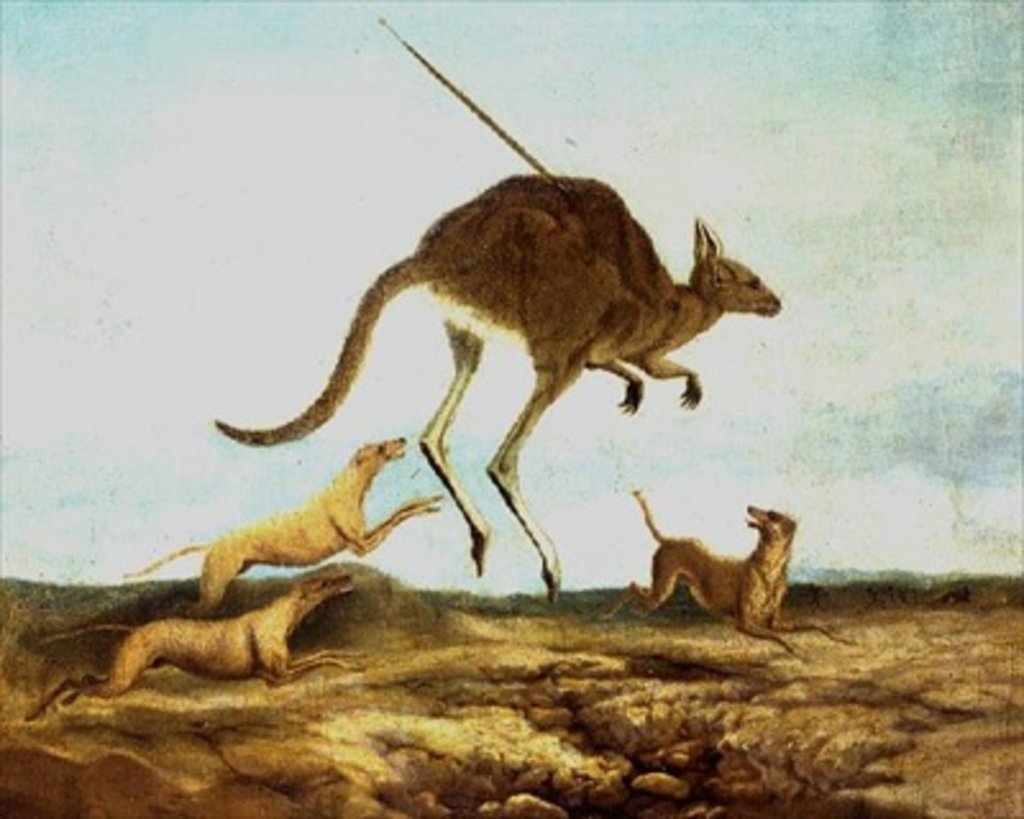 Detail of Kangaroo Hunting by Anonymous Anonymous