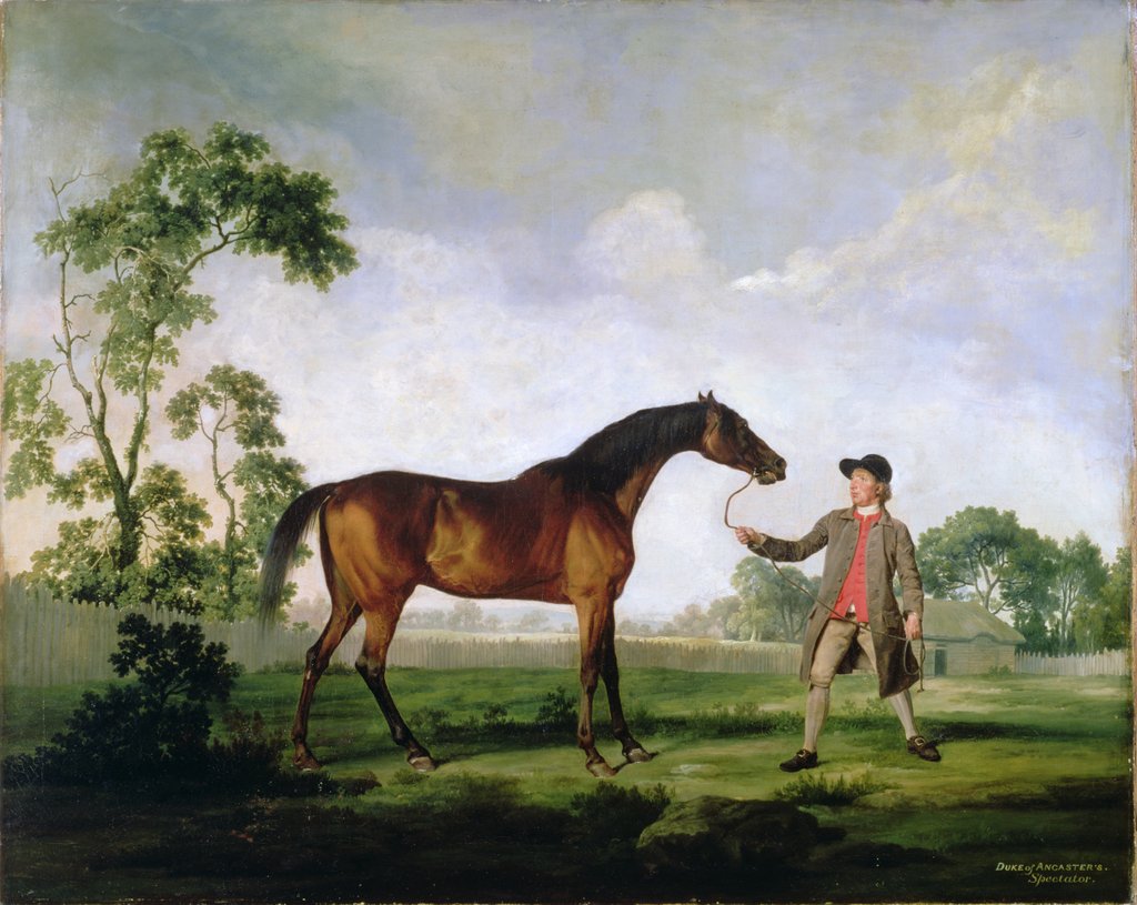 Detail of The Duke of Ancaster's bay stallion 'Spectator', held by a groom, c.1762-5 by George Stubbs