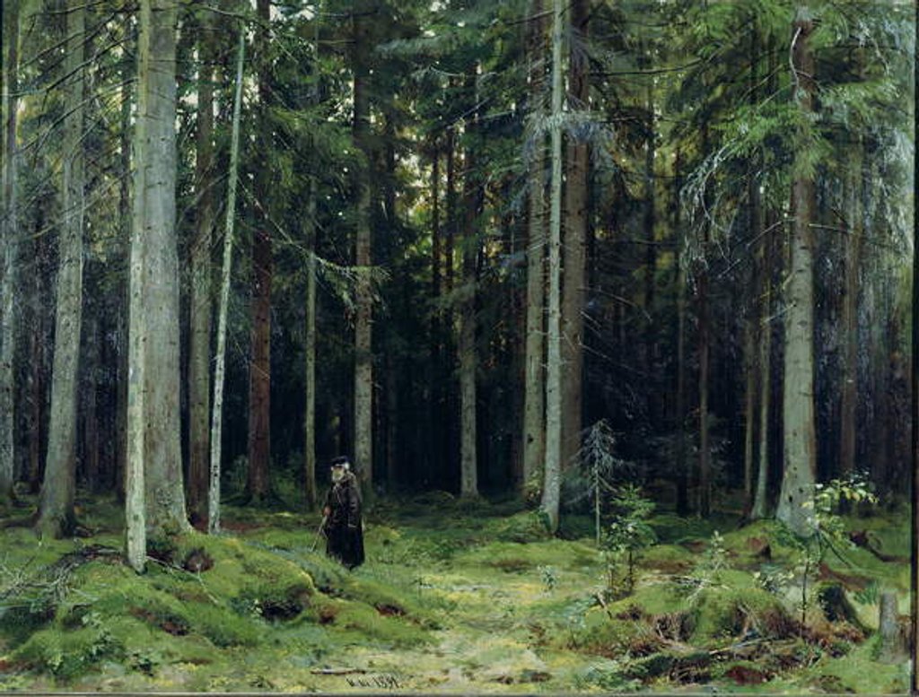 Detail of Countess Mordvinov's Forest, 1891 by Ivan Ivanovich Shishkin