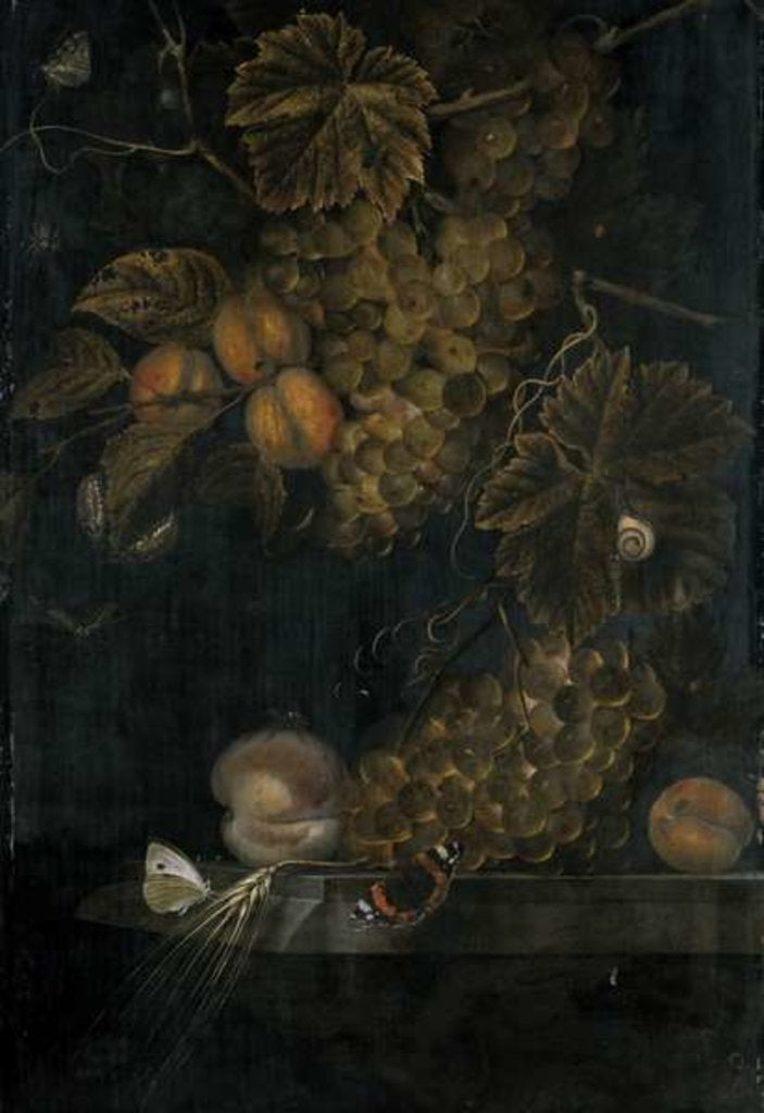 Detail of Still life with peaches and grapes, 1665 by Ottmar the Elder Elliger