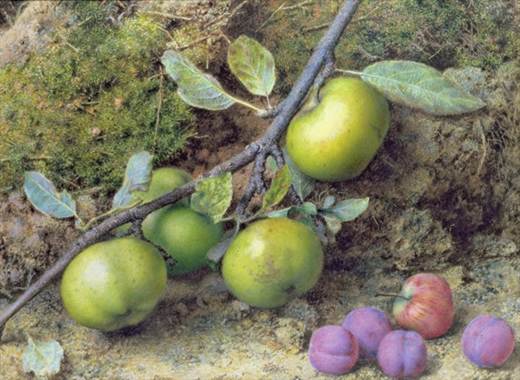 Detail of Apples and Plums on a Mossy Bank by John Sherrin