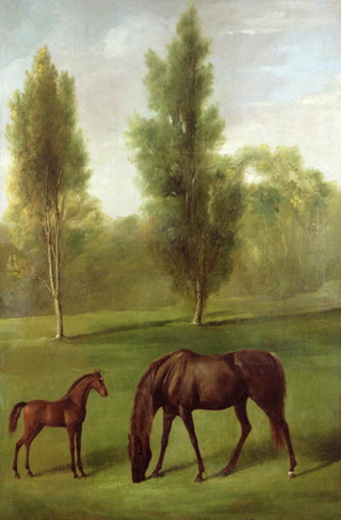 Detail of A Chestnut Mare and Foal in a Wooded Landscape, c.1761-63 by George Stubbs