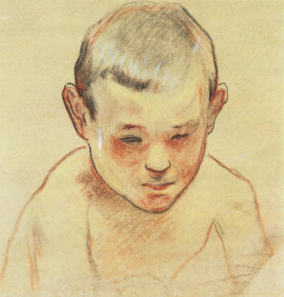 Detail of Head of a Boy, c.1886-88 by Paul Gauguin