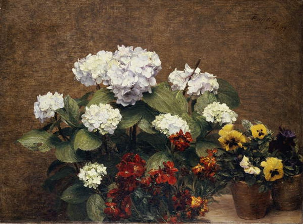 Detail of Hortensias and Stocks with Two Pots of Pansies, 1879 by Ignace Henri Jean Fantin-Latour