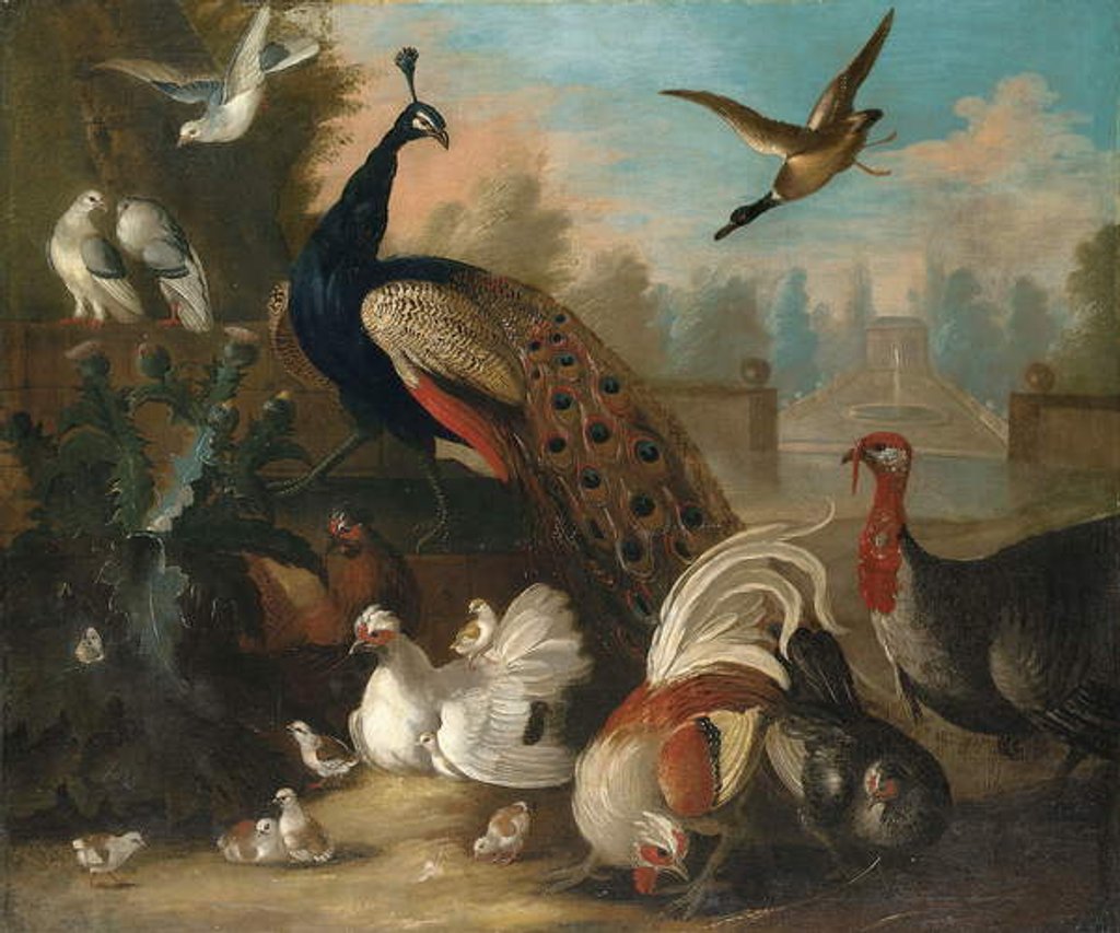 Detail of A Peacock and other Birds in an Ornamental Landscape by Marmaduke Cradock