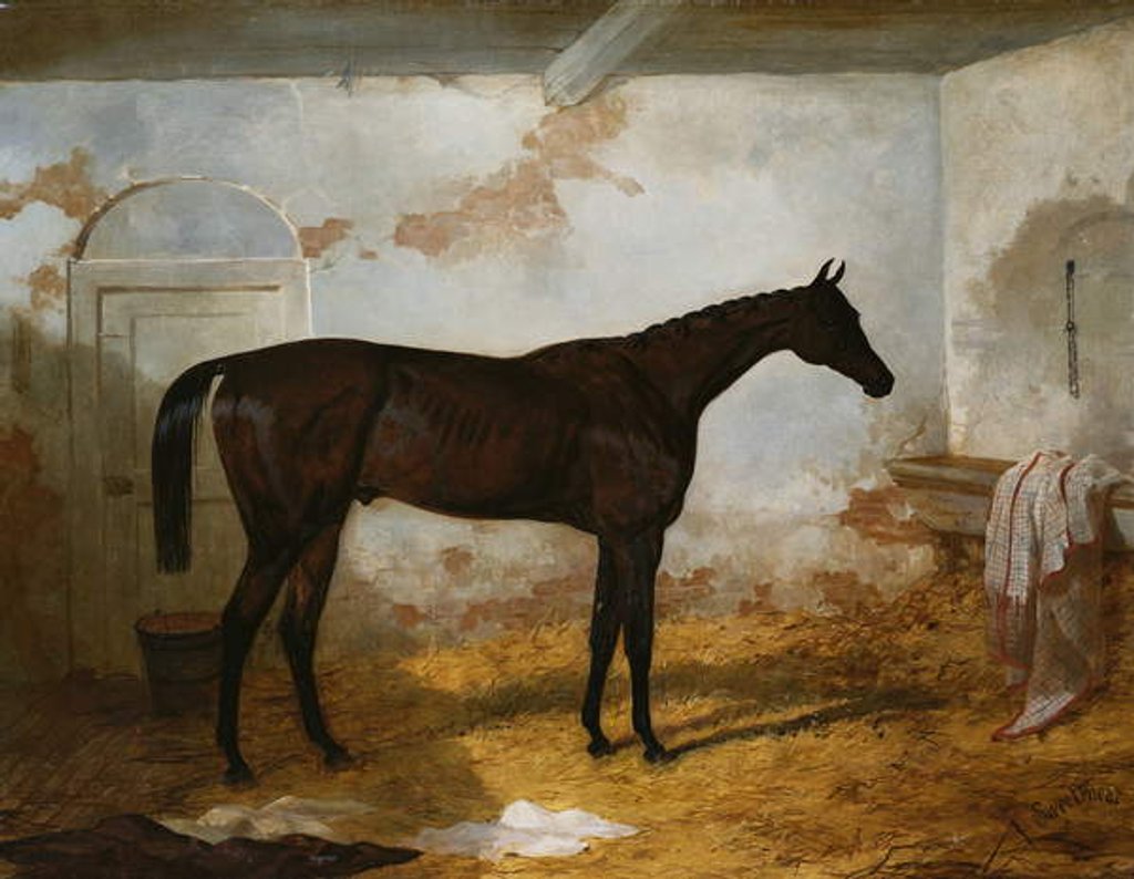 Detail of Mr A.W. Hill's Bay Colt 'Sweetmeat' in a Loose Box, 1845 by Harry Hall