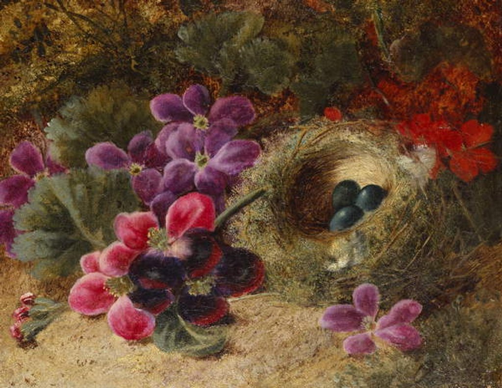 Detail of A Bird's Nest and Geraniums by Oliver Clare