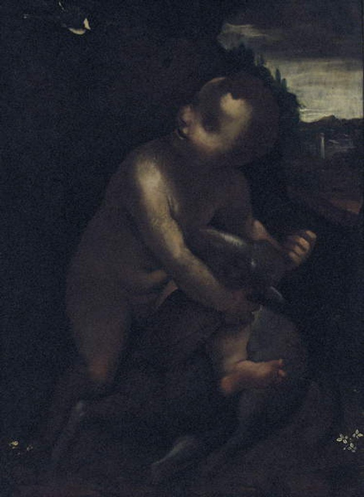 Detail of The infant St. John the Baptist by Leonardo da Vinci