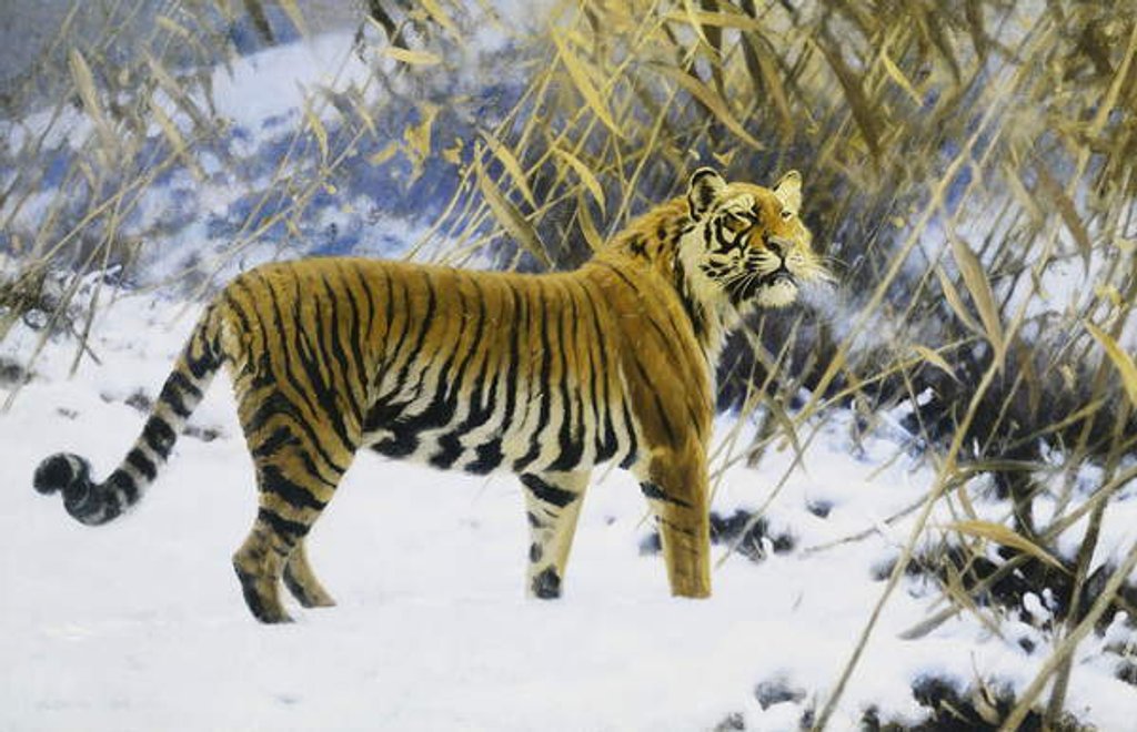 Detail of Tiger in a Winter Landscape, 1912 by Hugo Ungewitter