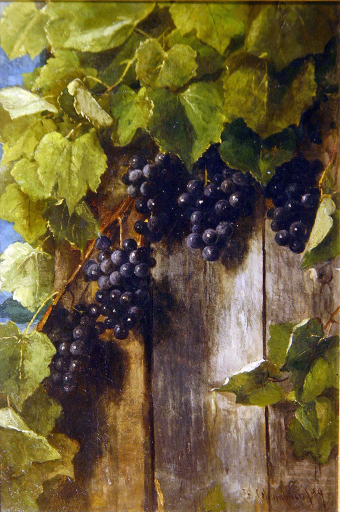 Detail of A fruiting vine, 1889 by Benjamin Champney