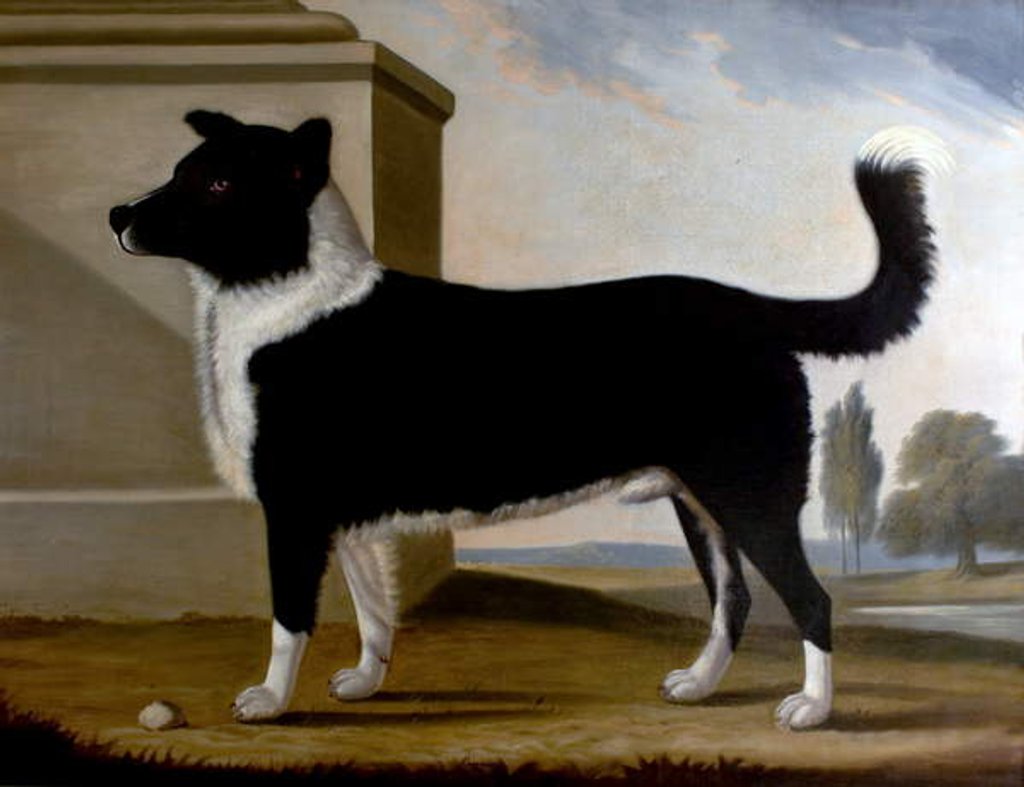 Detail of Lord Byron's Dog 'Boatswain', 1808 by Clifton Tomson