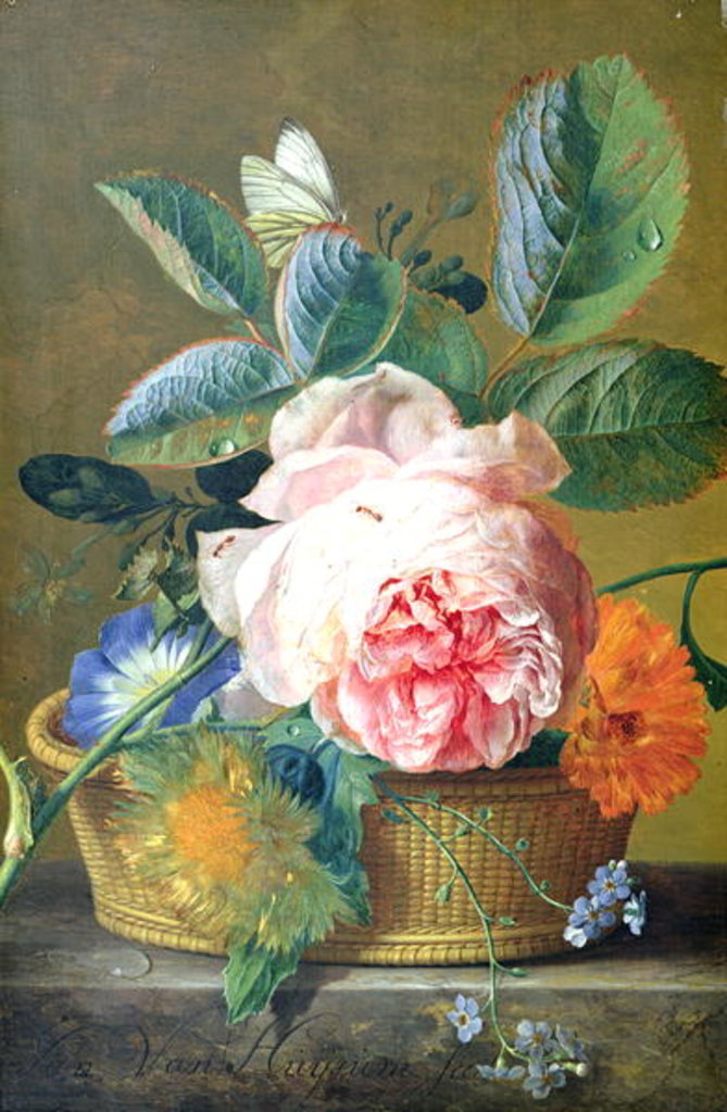 Detail of A Basket with Flowers, 1740-45 by Jan van Huysum