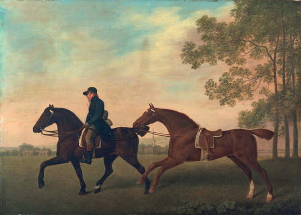 Detail of Two Hacks, 1789 by George Stubbs