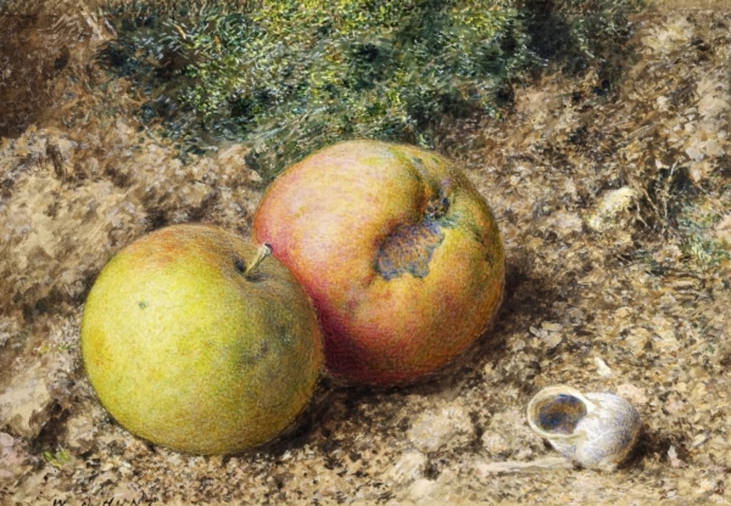 Detail of Still life with two apples and a snail shell by William Henry Hunt