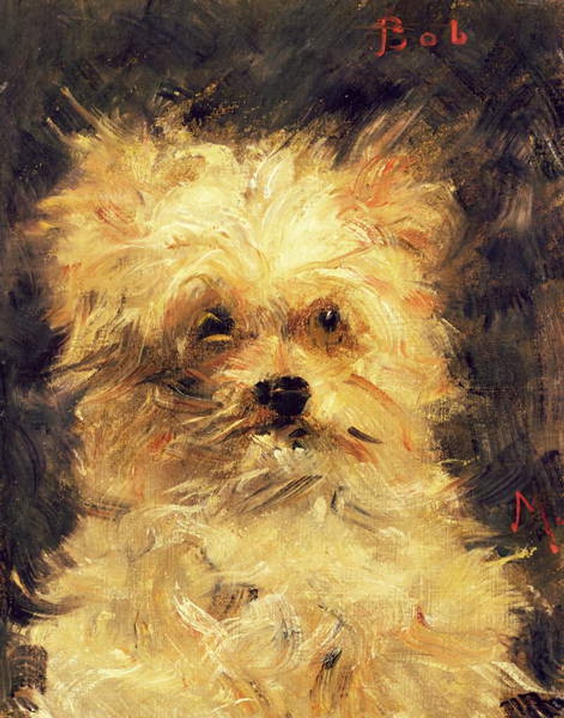 Detail of Head of a Dog - 'Bob', 1876 by Edouard Manet