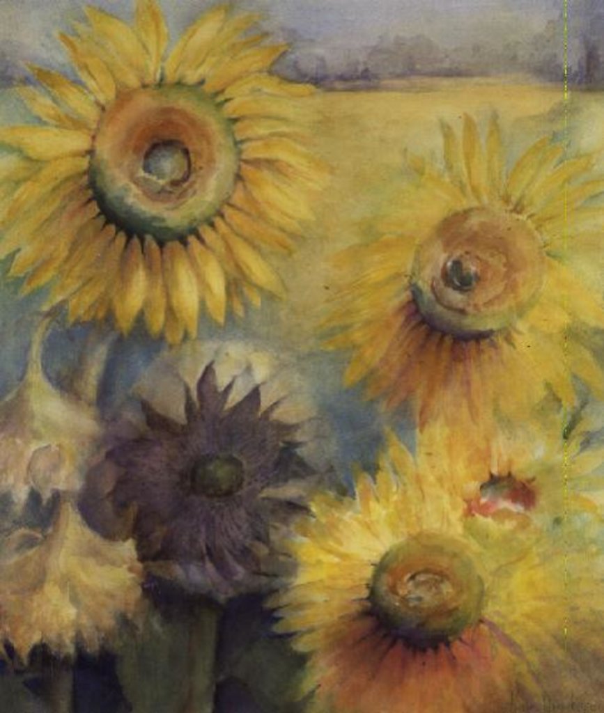 Detail of Sunflowers by Karen Armitage