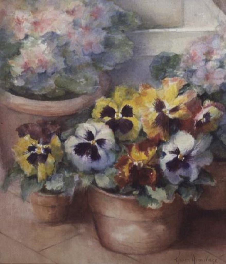 Detail of Pansies in a Conservatory by Karen Armitage