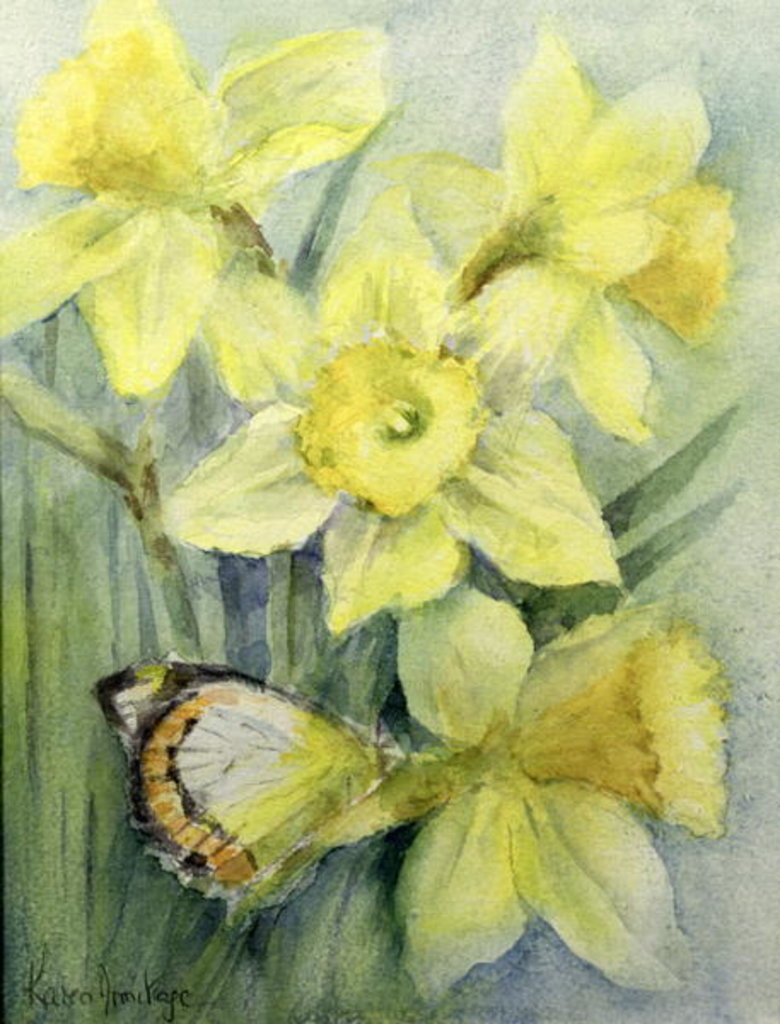 Detail of Delias Mysis Butterfly on Daffodils by Karen Armitage