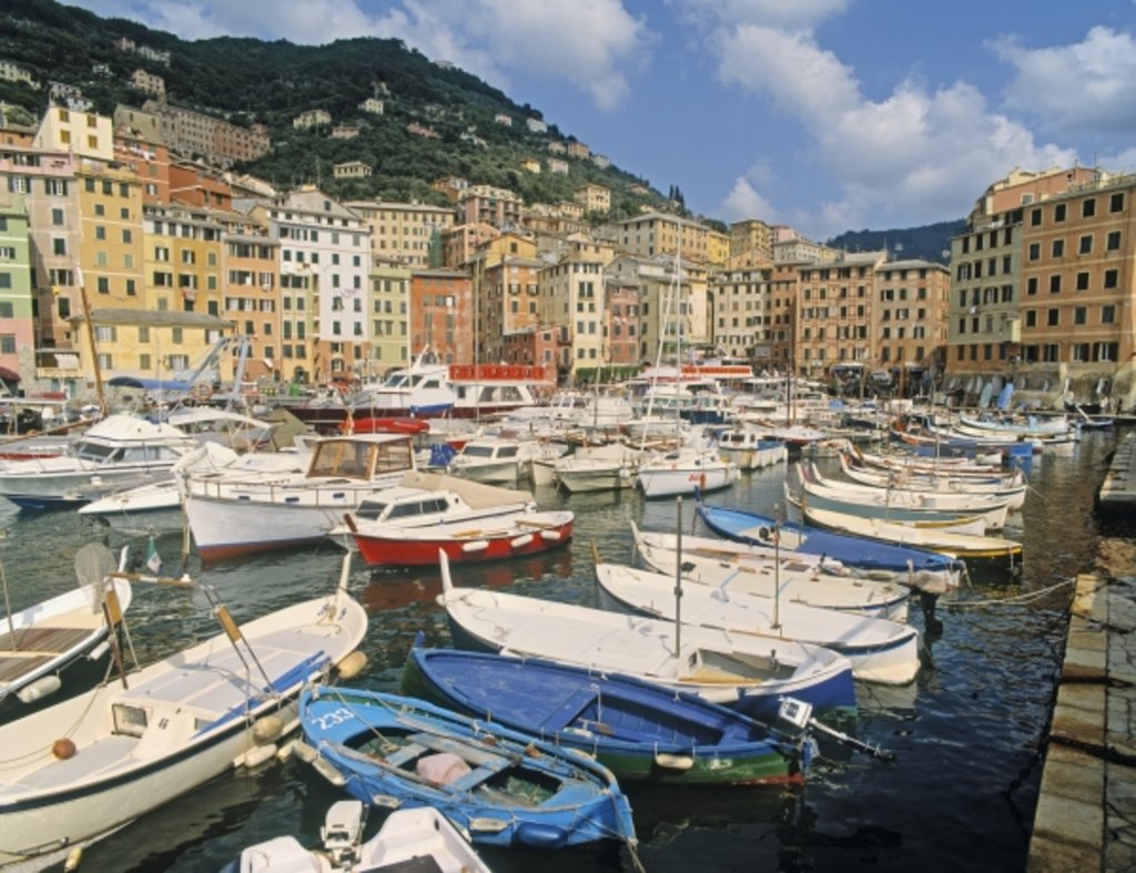 Detail of View of the town and fishing boats in harbour by Anonymous