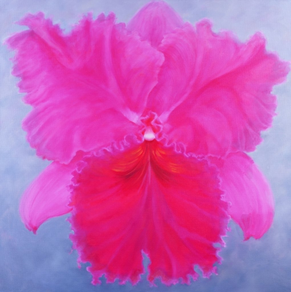 Detail of Cattleya, 2004 Pink orchid by Lee Campbell