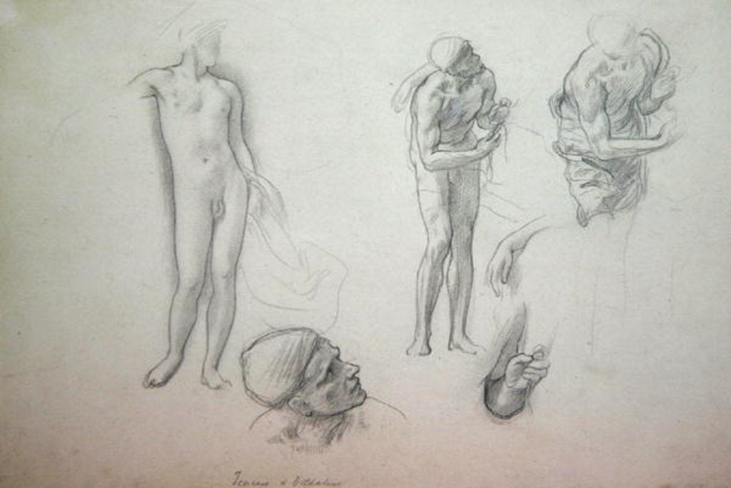 Detail of Studies for 'Daedalus and Icarus', c.1868-69 by Frederic Leighton