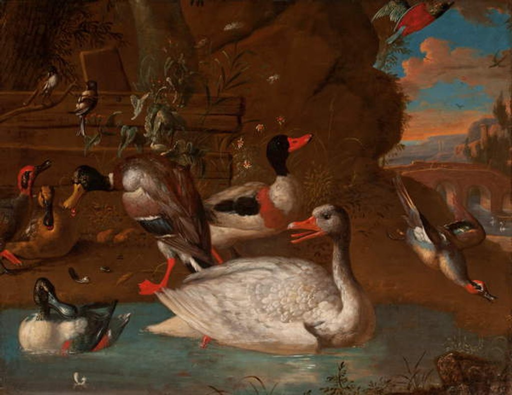 Detail of A Norwegian White Goose surrounded by a Shelduck, Mallard, Shovelers, Teals and Long-Tailed Tits in an Italianate Landscape at Twilight, 1703 by Adriaen van Oolen