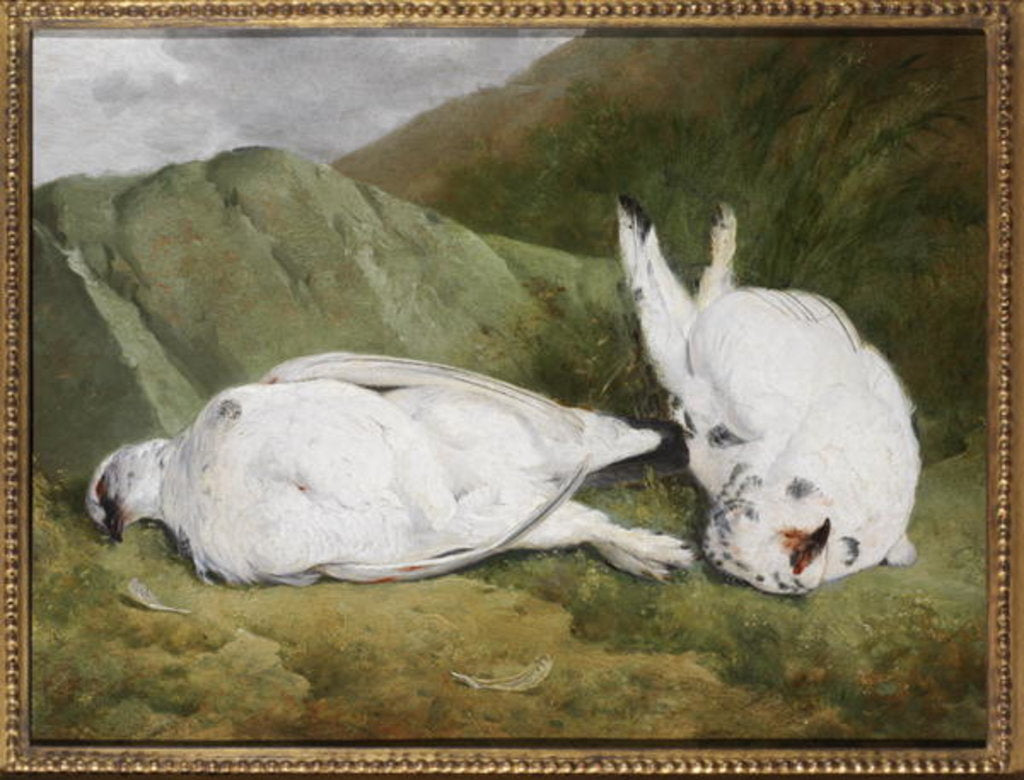 Detail of Ptarmigan by Abel Hold