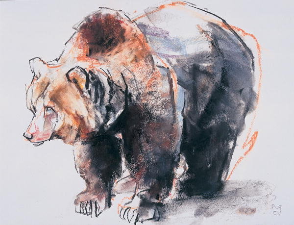 Detail of European Brown Bear, 2001 by Mark Adlington