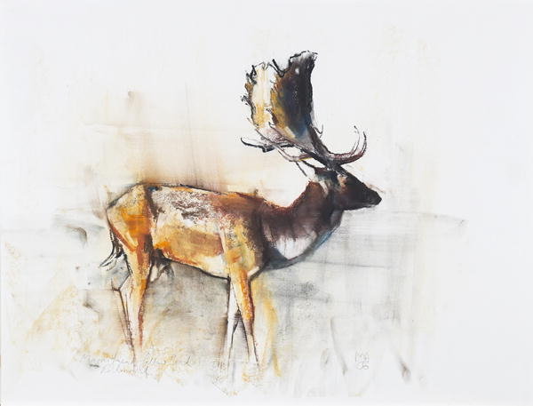 Detail of Magnificent Fallow Buck, 2006 by Mark Adlington