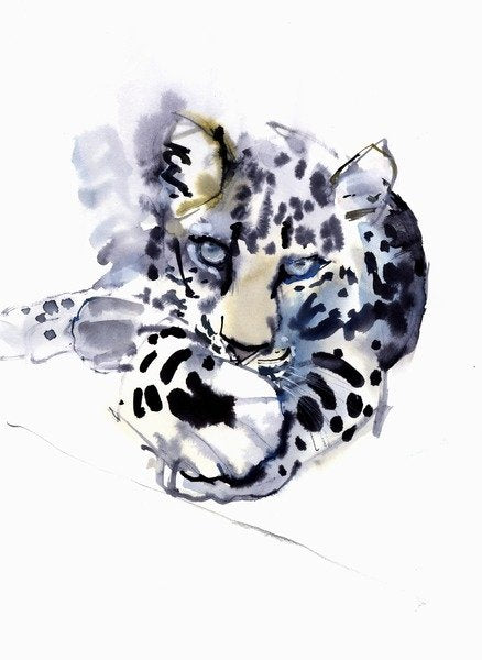 Detail of Arabian Leopard, 2008 by Mark Adlington