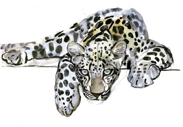 Detail of Arabian Leopard, 2008 by Mark Adlington