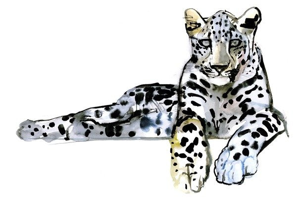 Detail of Arabian Leopard, 2008 by Mark Adlington