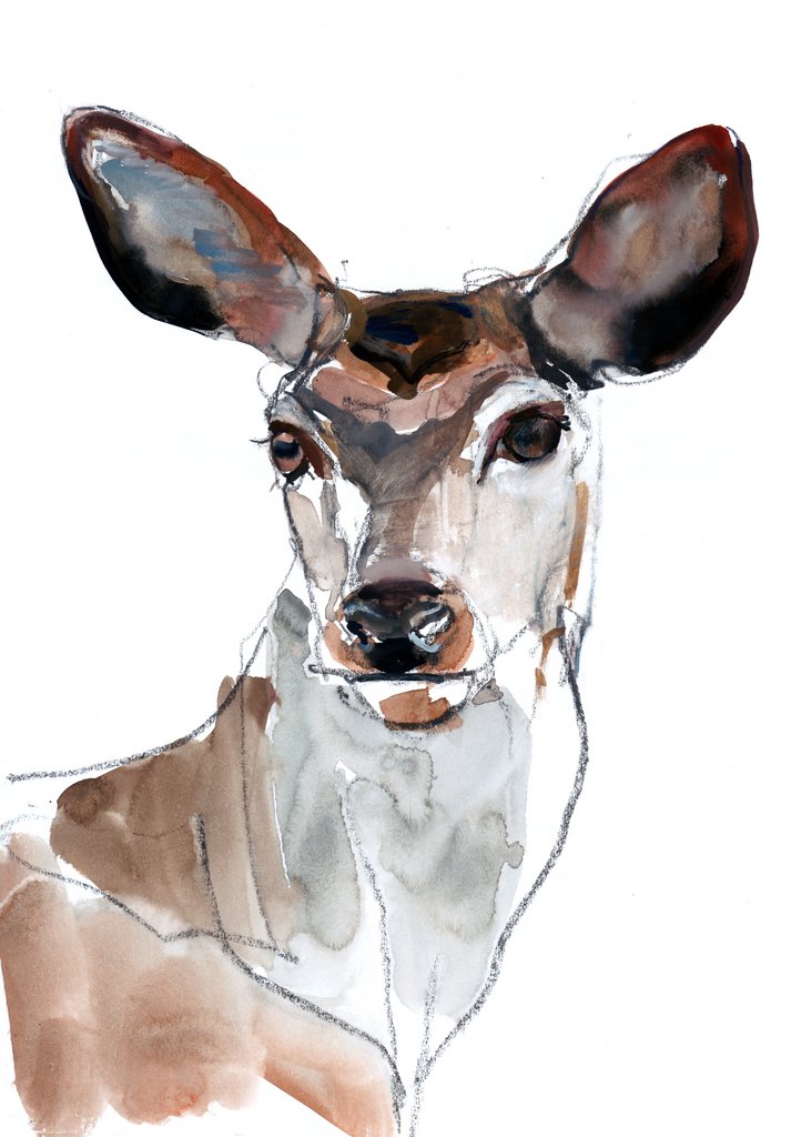 Detail of Red Deer, 2023 by Mark Adlington